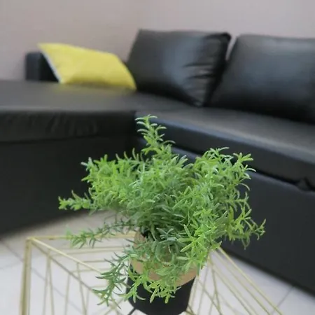 Rdc, Patio Tourbes